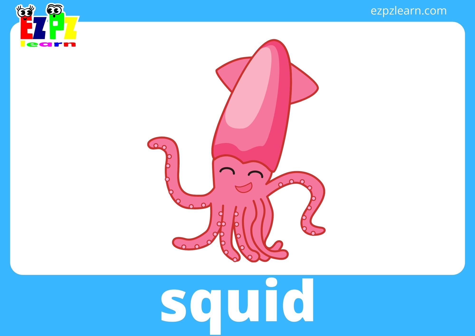 squid